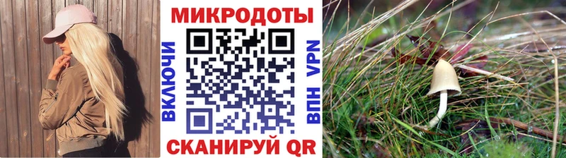 Купить закладки  Стародуб  Псилоцибиновые грибы прущие грибы 